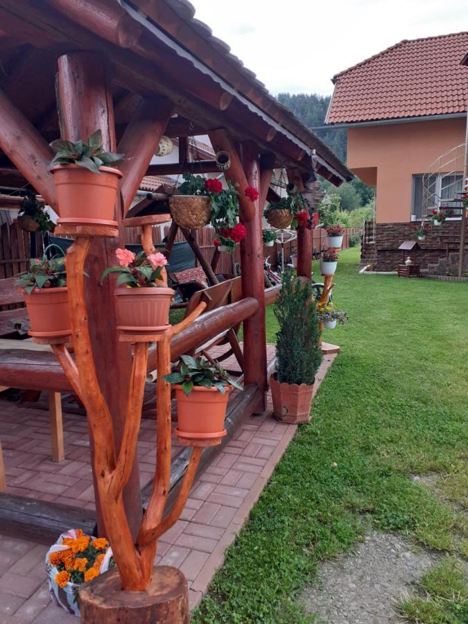Casa de Oaspeti Cristian Praid Esterno foto