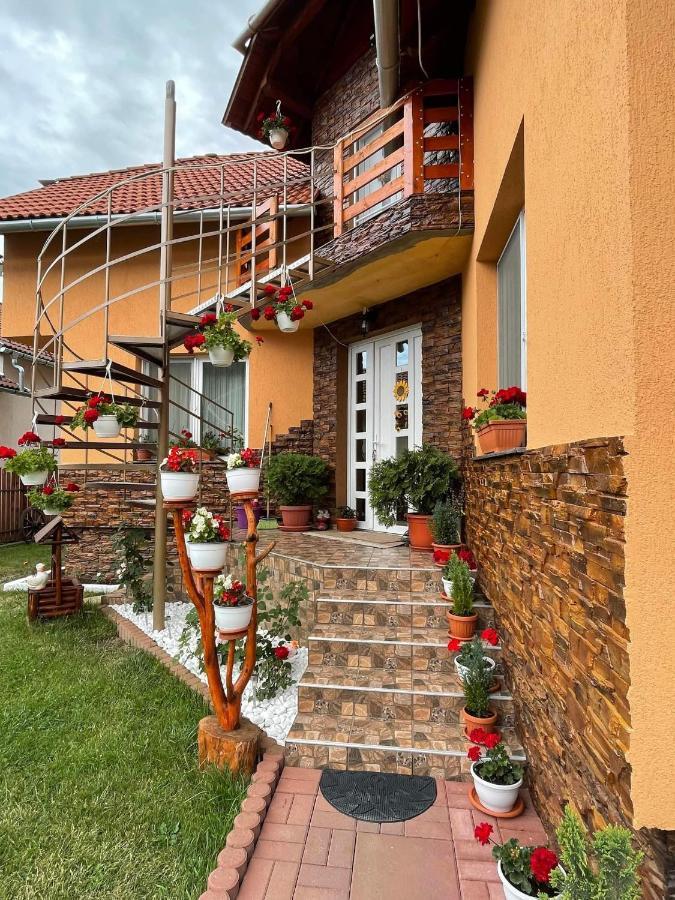 Casa de Oaspeti Cristian Praid Esterno foto