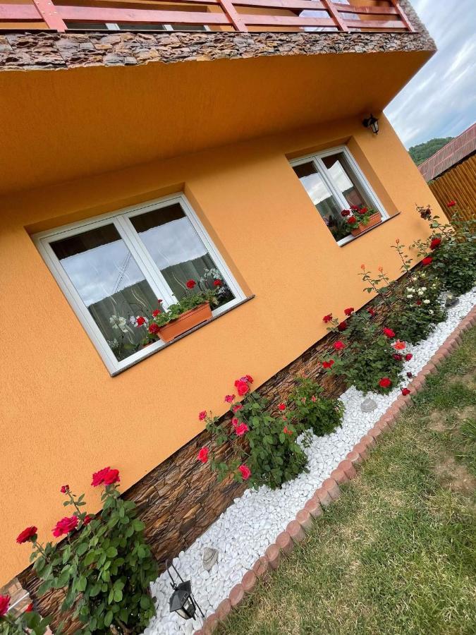 Casa de Oaspeti Cristian Praid Esterno foto